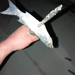 Meet your Posher, Chad